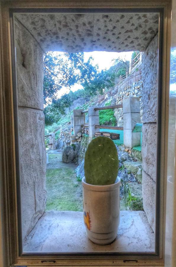Paraiso Appartamento